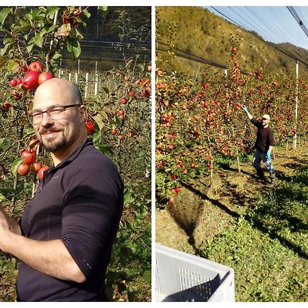 Agriturismo Pian Dei Tass Barcis Zewnętrze zdjęcie