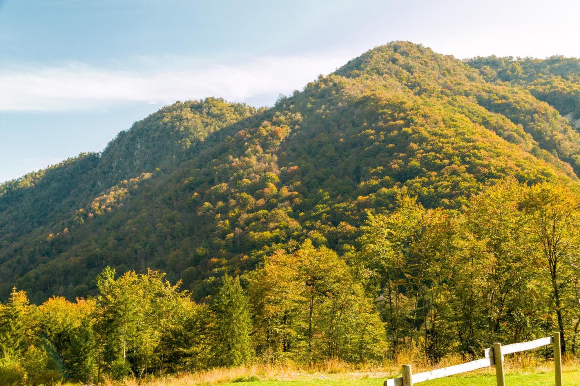 Agriturismo Pian Dei Tass Barcis Zewnętrze zdjęcie