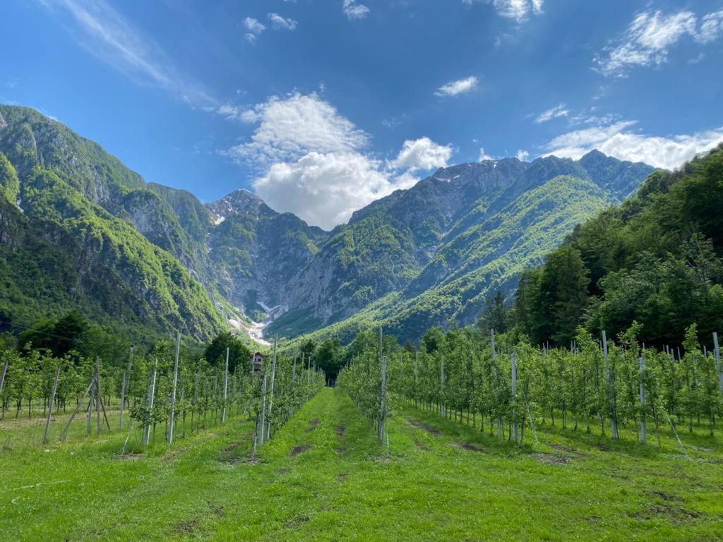 Agriturismo Pian Dei Tass Barcis Zewnętrze zdjęcie
