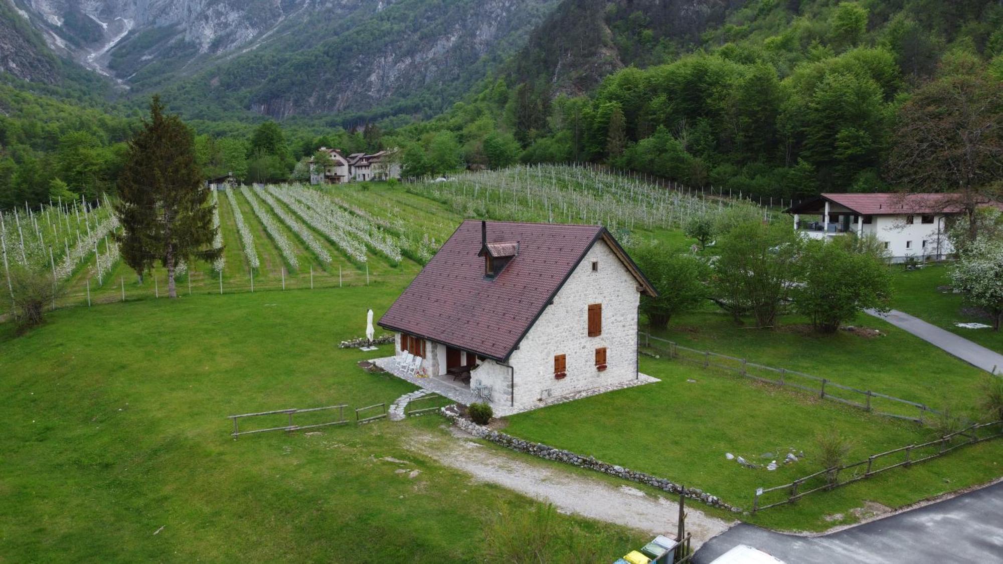 Agriturismo Pian Dei Tass Barcis Zewnętrze zdjęcie