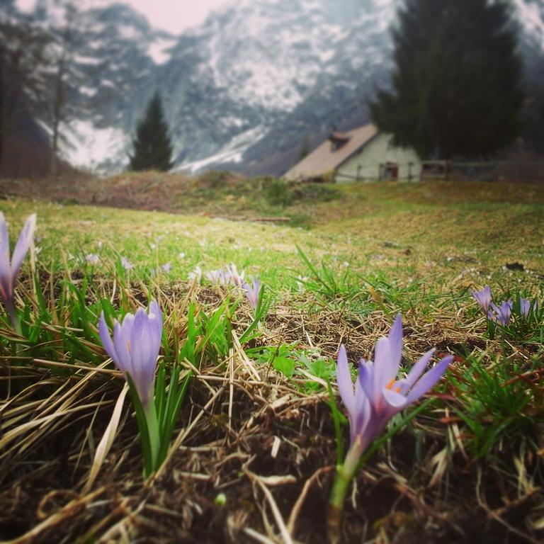 Agriturismo Pian Dei Tass Barcis Zewnętrze zdjęcie