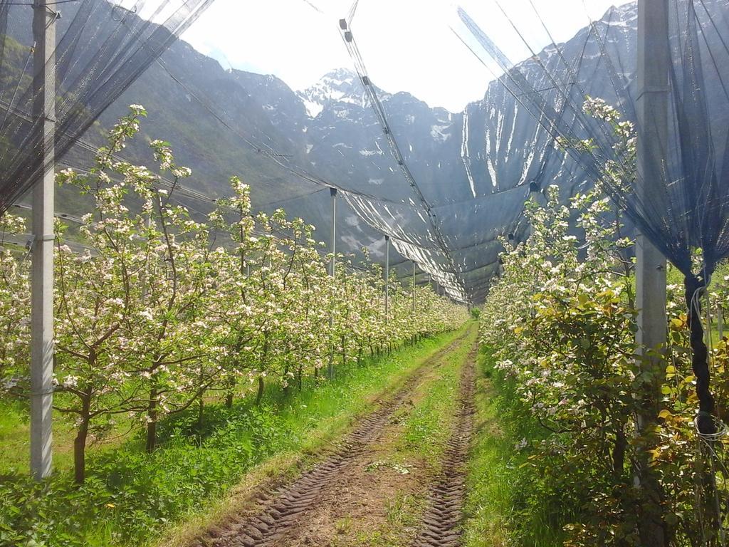 Agriturismo Pian Dei Tass Barcis Zewnętrze zdjęcie